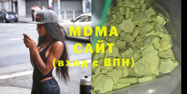 индика Вяземский